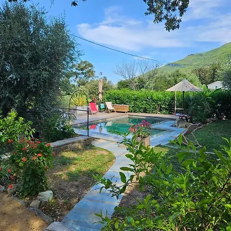 Casa Chioso- Petit Coin De Paradis A Villa Sisco